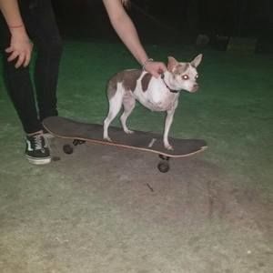 Meet your Posher, Morgan